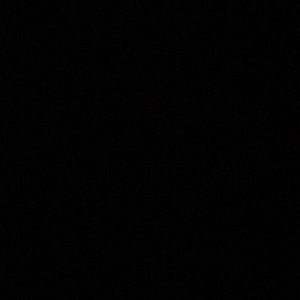 Meet your Posher, Harrison